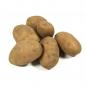 Mobile Preview: bioladen Frühkartoffel Avanti fk, demeter aus Deutschland